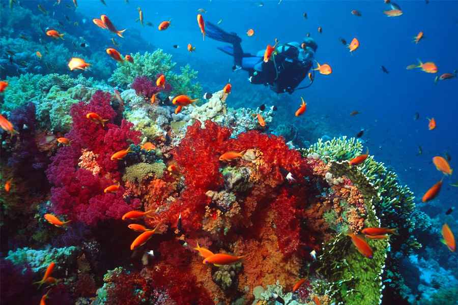 Image Title My Image